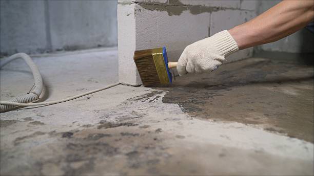 24/7 Emergency Wet Basement Repair experts in Greeneville, TN